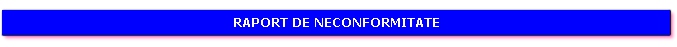 Raport de neconformitate